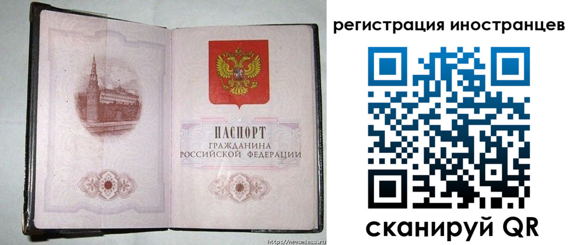 прописка поиск в Белгороде